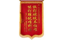 20210312大连科兴锦旗