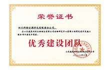 20231101山东威高“优秀建设团队”